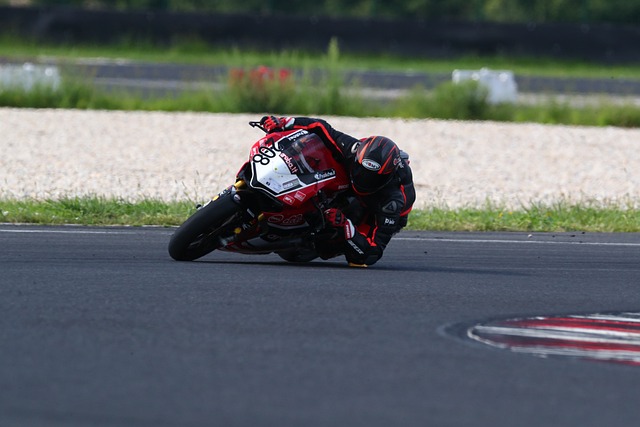 而辽宁女排 而辽宁女排